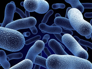news_infectioncontrolbacteria